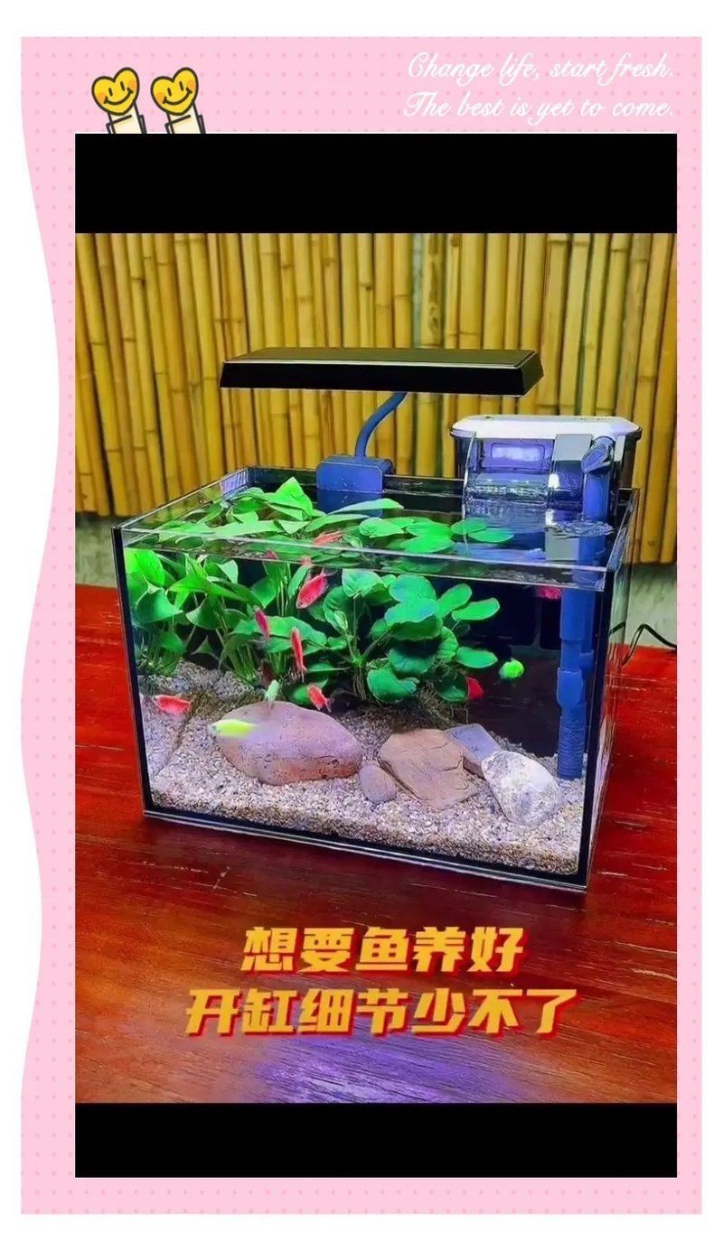 白缸養(yǎng)魚(yú)的裝飾技巧，白缸養(yǎng)魚(yú)的裝飾技巧，6種絕美魚(yú)缸造景全攻略，新手必看