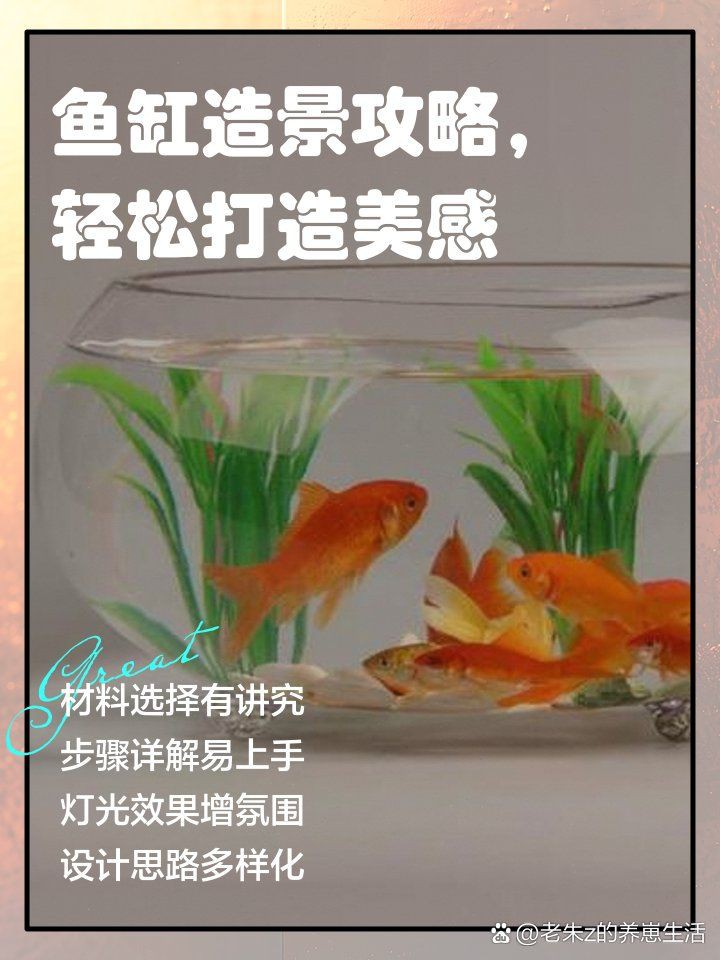 白缸養(yǎng)魚(yú)的裝飾技巧，白缸養(yǎng)魚(yú)的裝飾技巧，6種絕美魚(yú)缸造景全攻略，新手必看