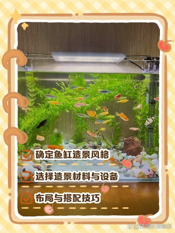 白缸養(yǎng)魚(yú)的裝飾技巧，白缸養(yǎng)魚(yú)的裝飾技巧，6種絕美魚(yú)缸造景全攻略，新手必看