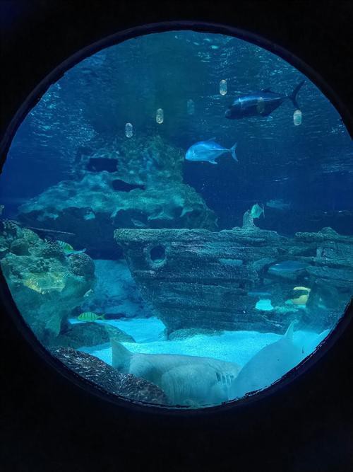 富川水族店，富川地區水族館/水族店的綜合信息