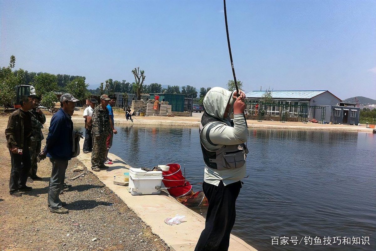 目前最強魚類誘食劑，最強魚類誘食劑