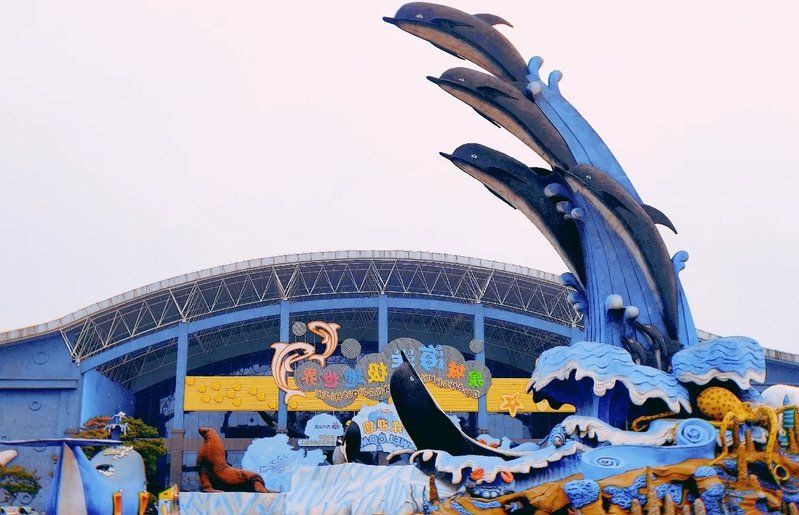 濟南水族店，濟南市天橋區可麗愛水族店(個體工商戶)