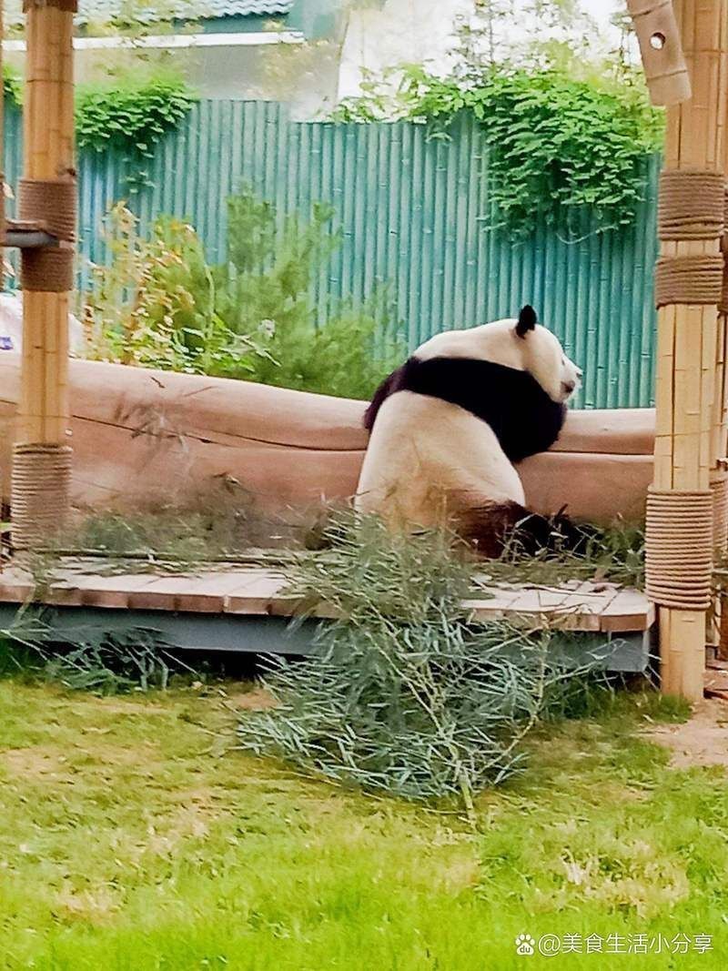 濟南水族店，濟南市天橋區可麗愛水族店(個體工商戶)