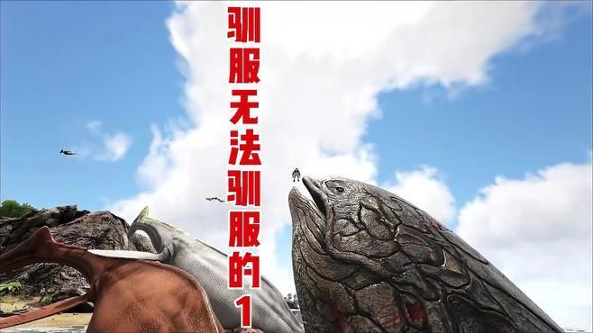 利茲魚，《方舟生存進化》利茲魚