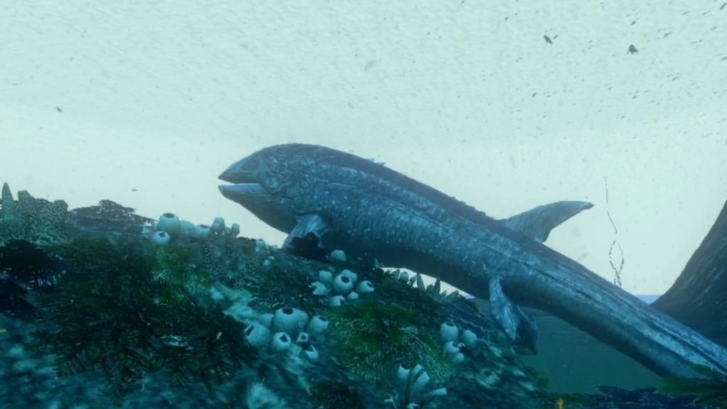 利茲魚，《方舟生存進化》利茲魚
