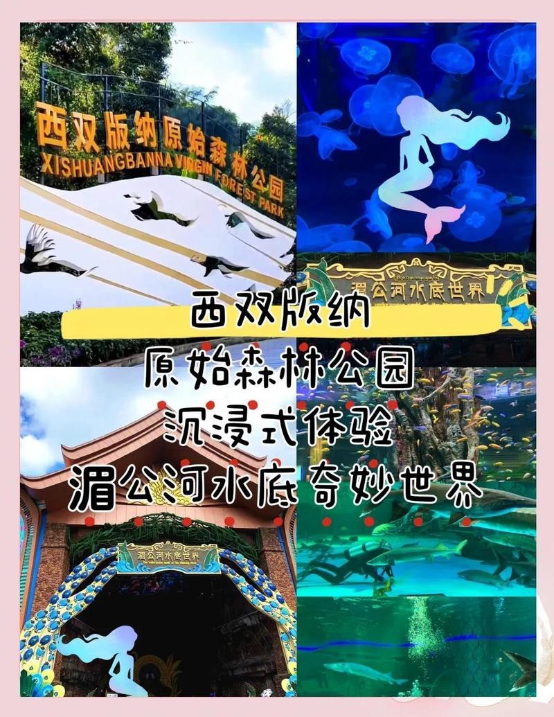 景洪水族店，景洪水族店和浩瀚水族館的區別