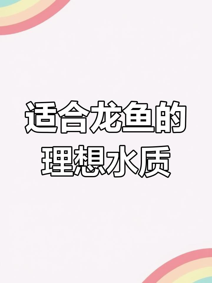 如何保持福龍魚的水質穩定？，保持福龍魚水質穩定需綜合多方面措施