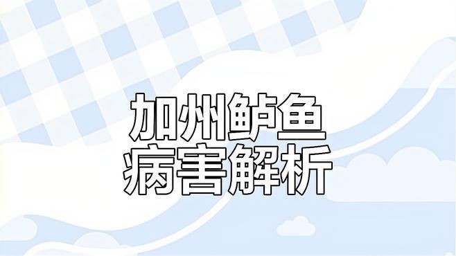 爛身病對魚類的危害有多大？，加州鱸魚爛身病是什么原因研途栗子