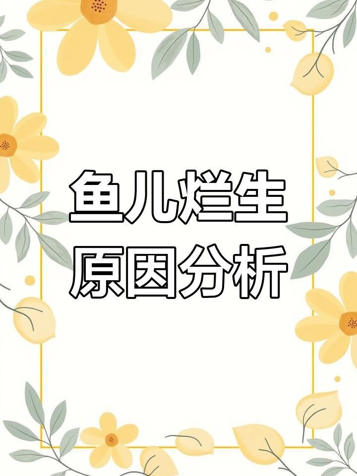 爛身病對魚類的危害有多大？，加州鱸魚爛身病是什么原因研途栗子
