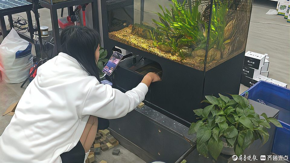 慶云水族店，慶云水族店哪家口碑最好