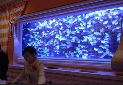 鷹潭魚缸批發市場，鷹潭魚缸批發市場呈現“低端飽和、高端待開發”特征