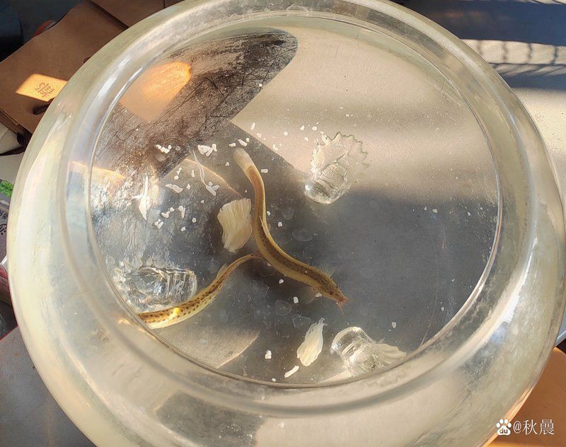 鷹潭魚缸批發市場,鷹潭魚缸批發市場呈現“低端飽和、高端待開發”特征 全國水族館企業名錄 第11張 鷹潭魚缸批發市場,鷹潭魚缸批發市場呈現“低端飽和、高端待開發”特征 鷹潭魚缸批發市場,鷹潭魚缸批發市場呈現“低端飽和、高端待開發”特征 全國水族館企業名錄 第11張