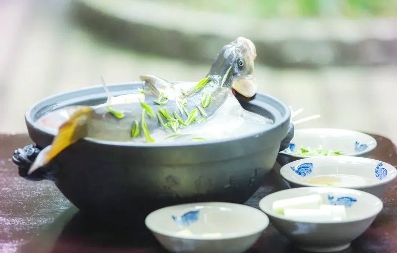 雅安魚缸店，雅安地區的魚缸店為當地水族愛好者提供了多樣化的選擇