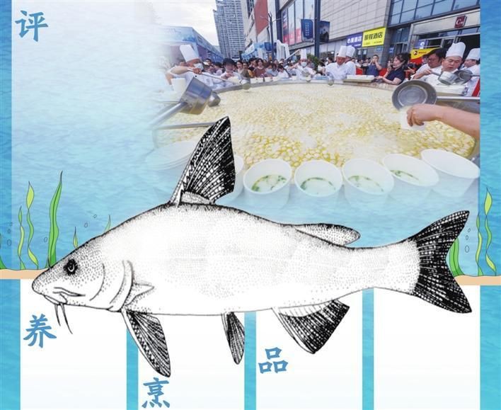 宜昌龍魚店，宜昌抗洪官兵免費(fèi)送魚湯 宜昌龍魚店，宜昌抗洪官兵免費(fèi)送魚湯 全國水族館企業(yè)名錄 第5張