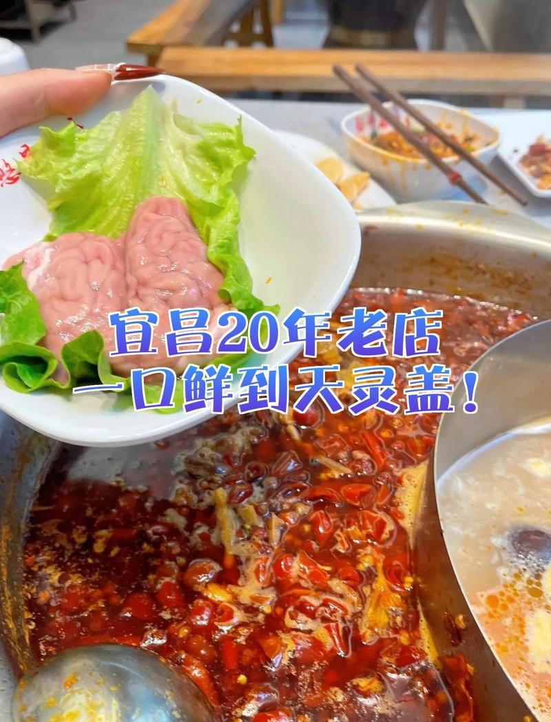 宜昌龍魚店，宜昌抗洪官兵免費(fèi)送魚湯 宜昌龍魚店，宜昌抗洪官兵免費(fèi)送魚湯 全國水族館企業(yè)名錄 第1張