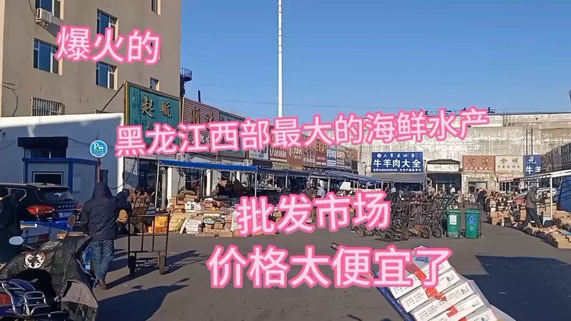 齊齊哈爾水族批發市場，齊齊哈爾:市民備貨迎春節水產市場迎來銷售旺季