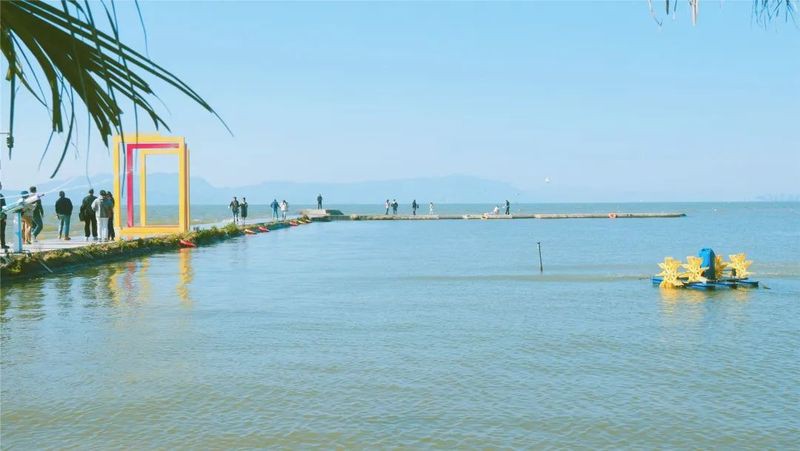 海晏龍魚店，昆明海晏龍魚店