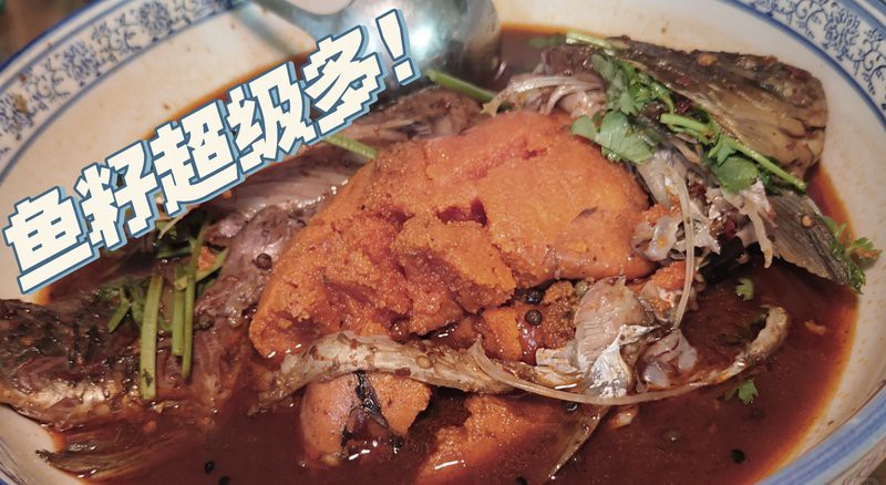 海晏龍魚店，昆明海晏龍魚店