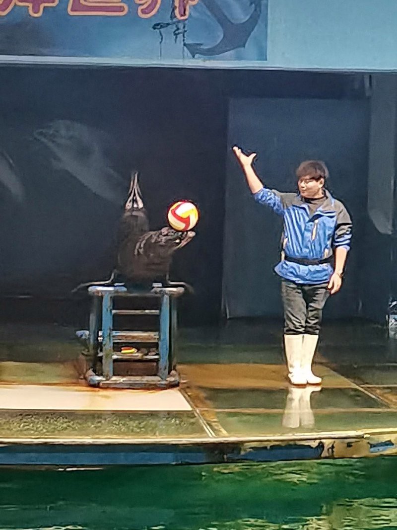 江蘇水族店，江蘇水族市場在哪里