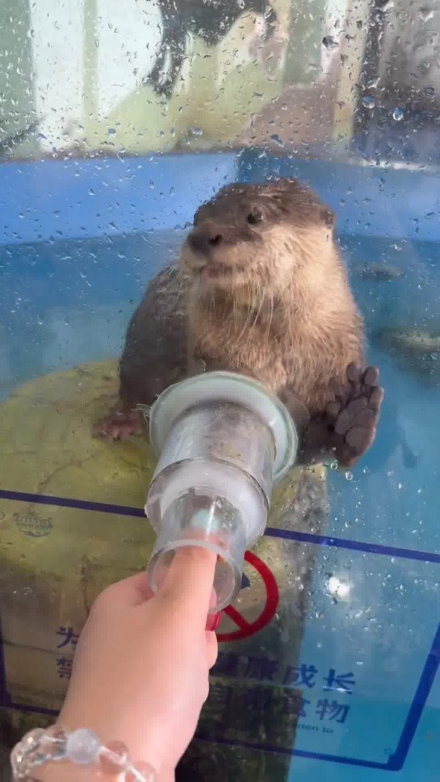 淮安水族店，淮安有哪些水族店推薦？