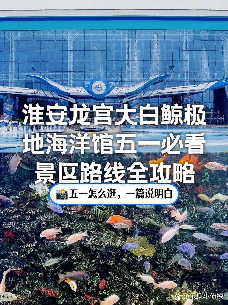 淮安水族店，淮安有哪些水族店推薦？