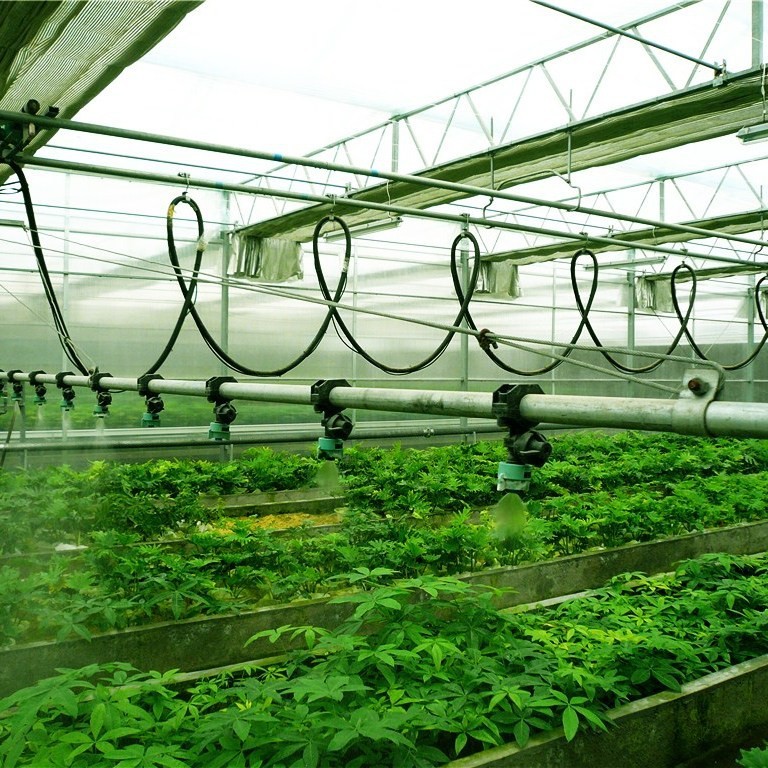 全國(guó)十大水培花卉基地，全國(guó)十大水培花卉基地巡禮