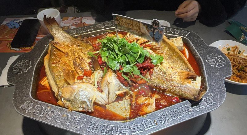 皮山龍魚店，廣州皮山龍魚店\