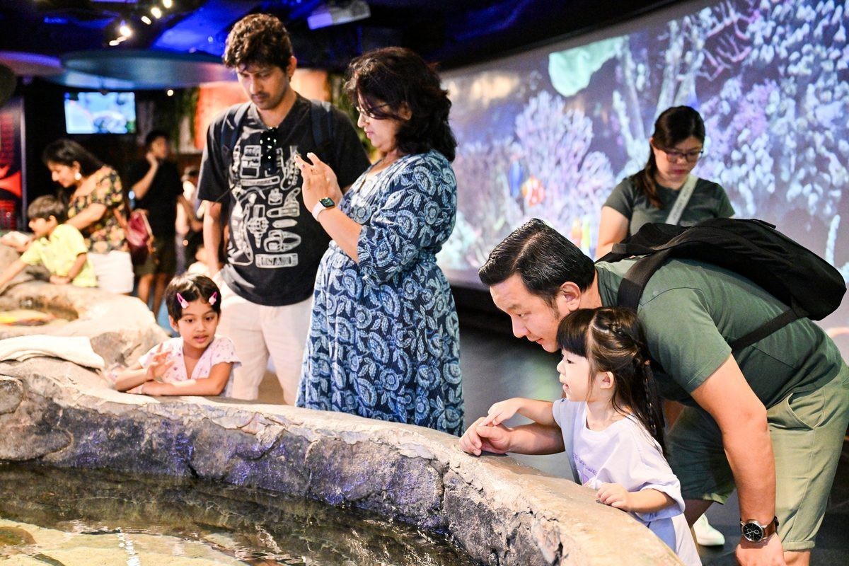 吉隆水族店，吉隆坡水族館探店記:值得一去嗎如初久不知夢(mèng)吉隆坡水族館探店記