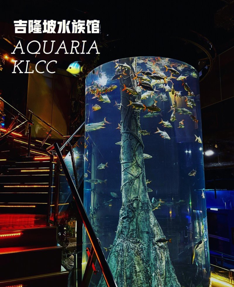 吉隆水族店，吉隆坡水族館探店記:值得一去嗎如初久不知夢吉隆坡水族館探店記