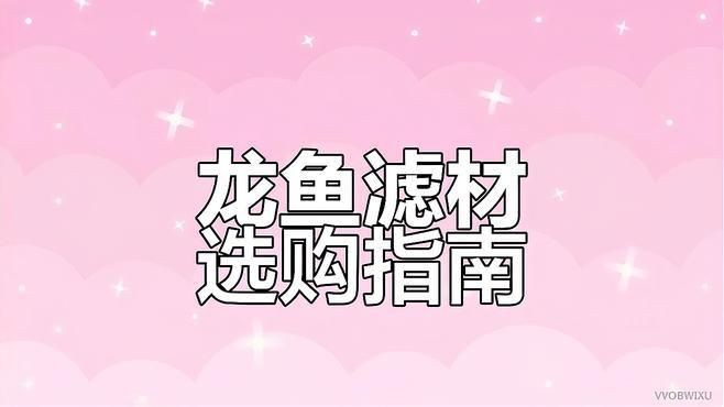 濾材的四種類型，《濾材的四種類型》