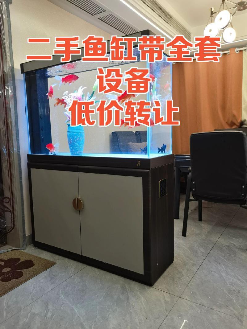 二手魚缸低價出售，《二手魚缸轉讓記：一段水族情懷的延續，一段水族情懷的延續 二手魚缸低價出售，《二手魚缸轉讓記：一段水族情懷的延續，一段水族情懷的延續 龍魚論壇 第1張