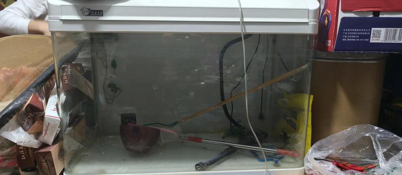 二手魚缸低價出售，《二手魚缸轉讓記：一段水族情懷的延續，一段水族情懷的延續 二手魚缸低價出售，《二手魚缸轉讓記：一段水族情懷的延續，一段水族情懷的延續 龍魚論壇 第3張