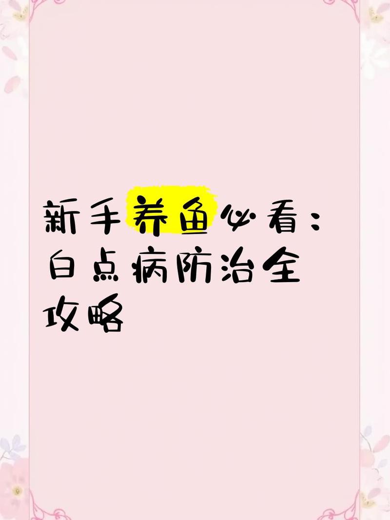 如何預(yù)防紅眼白子招財龍的白點病？，小毅說魚，新手養(yǎng)魚必看:白點病防治全攻略