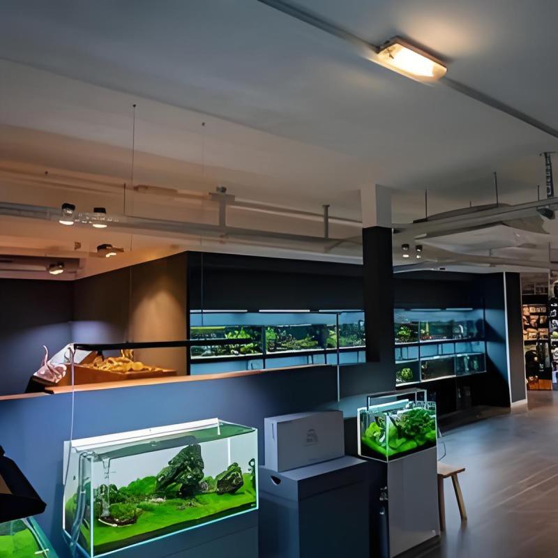 措勤龍魚店，廣州措勤龍魚店