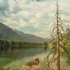 丹東魚缸定做，丹東地區的魚缸定制服務豐富多樣