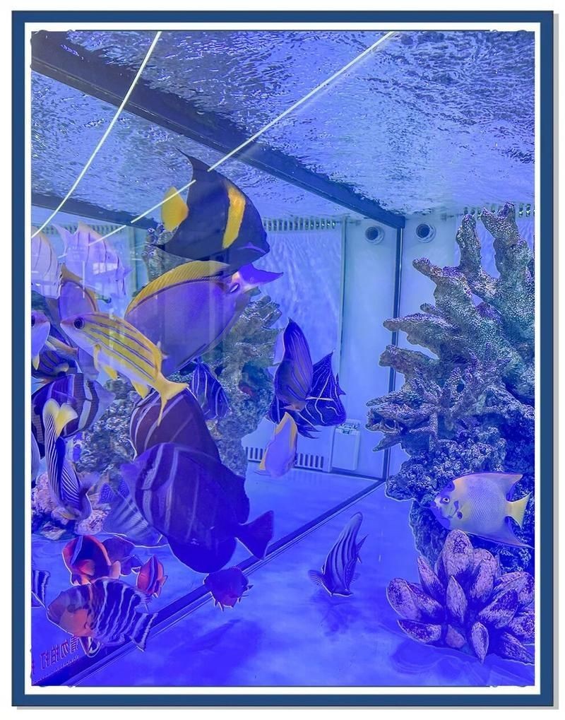 廣州水族館，廣州水族館是一座集觀賞為何精神病院的特色場館進行輔助