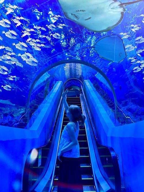 廣州水族館，廣州水族館是一座集觀賞為何精神病院的特色場館進行輔助