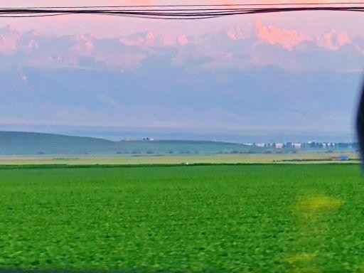 昭蘇龍魚店，新疆昭蘇龍魚店