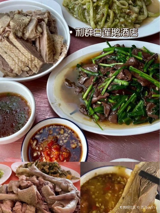 澄邁龍魚店，澄邁龍魚店定期舉辦觀賞交流活動幫助新手快速上手 澄邁龍魚店，澄邁龍魚店定期舉辦觀賞交流活動幫助新手快速上手 全國水族館企業名錄 第5張