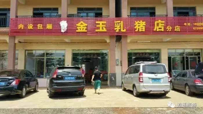澄邁龍魚店，澄邁龍魚店定期舉辦觀賞交流活動幫助新手快速上手 澄邁龍魚店，澄邁龍魚店定期舉辦觀賞交流活動幫助新手快速上手 全國水族館企業名錄 第6張