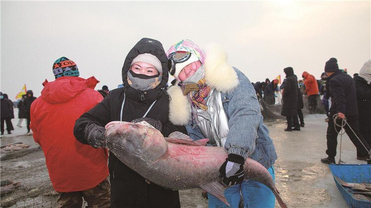 松原龍魚店，松原龍魚部落哪家口碑最好