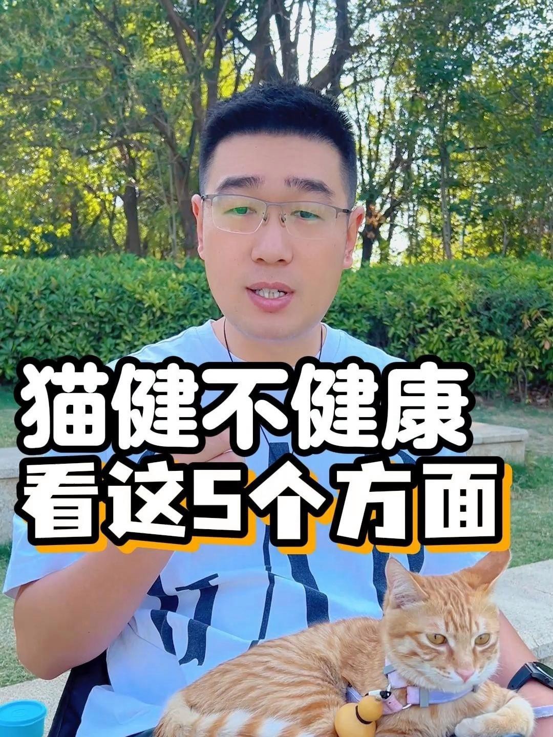 如何判斷龍須貓是否健康？，判斷龍須貓是否健康的綜合指南