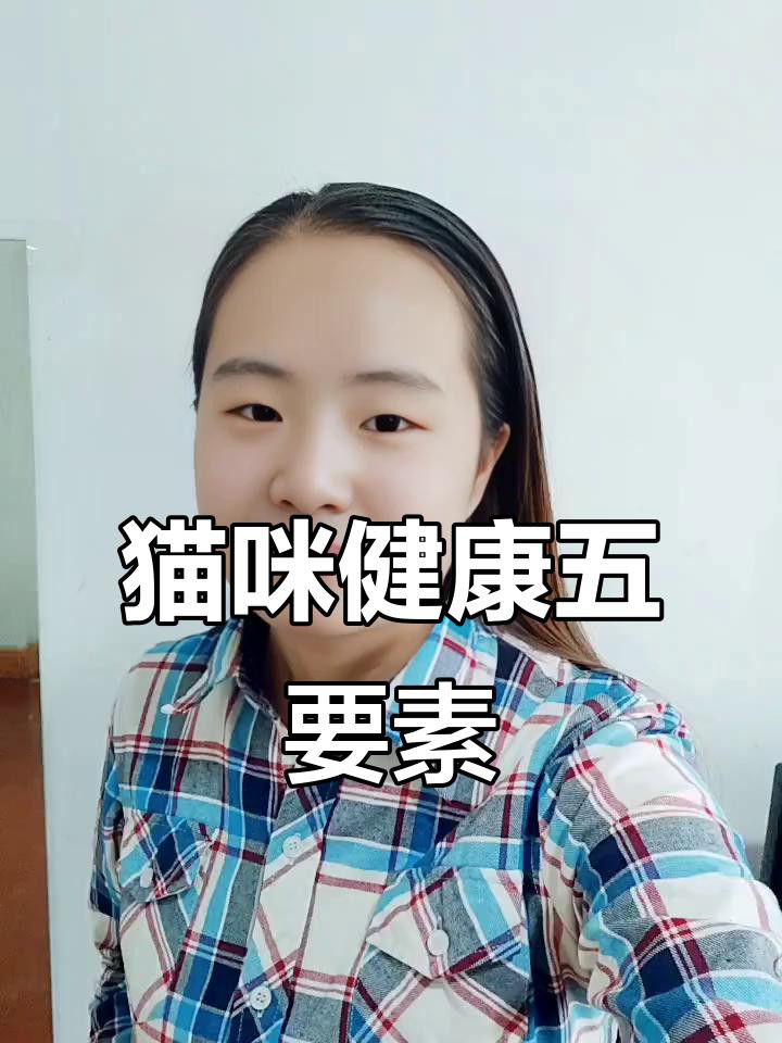 如何判斷龍須貓是否健康？，判斷龍須貓是否健康的綜合指南