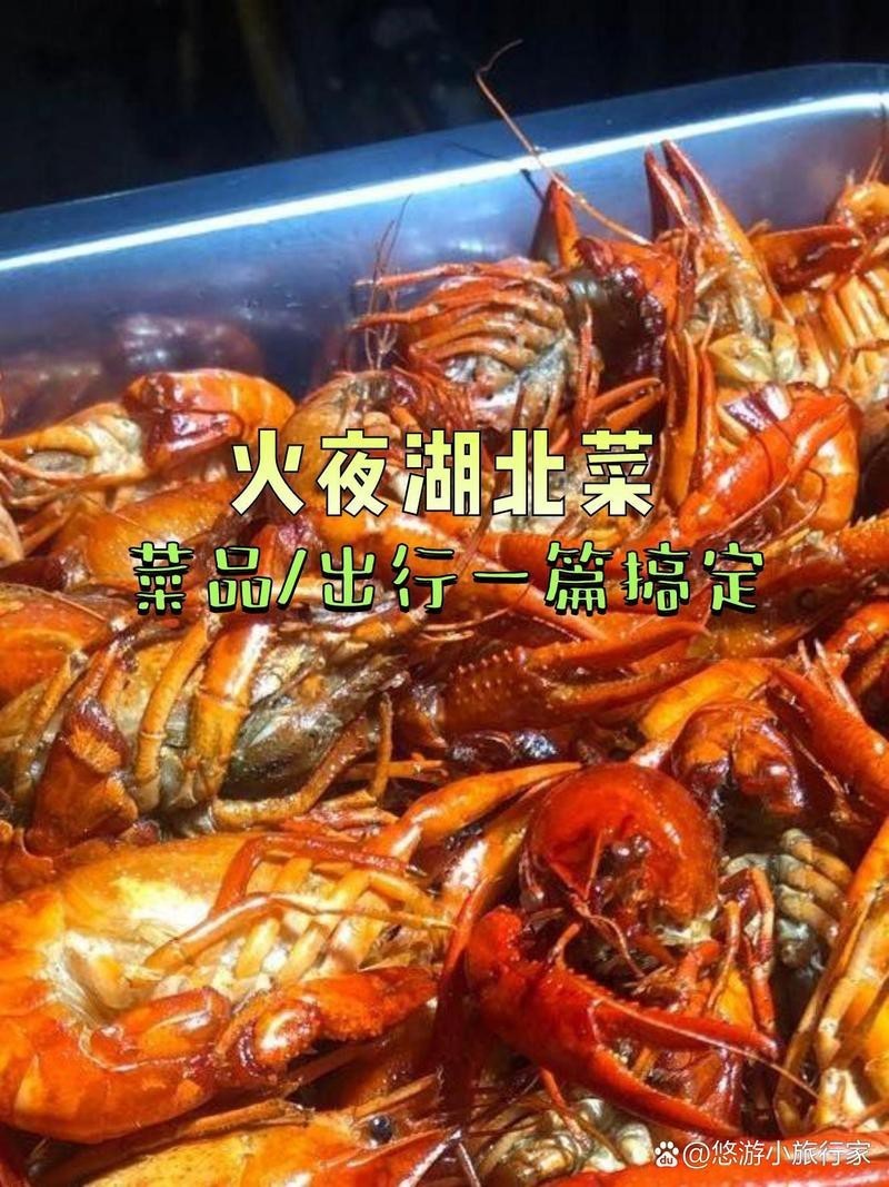 民樂(lè)龍魚(yú)店，北京旅游網(wǎng)民樂(lè)龍魚(yú)店有哪些品種品種民樂(lè)龍魚(yú)店