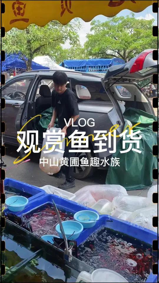 浦北縣水族店，浦北縣易周水族店和浦北縣張黃鎮佳寶水族店名錄集