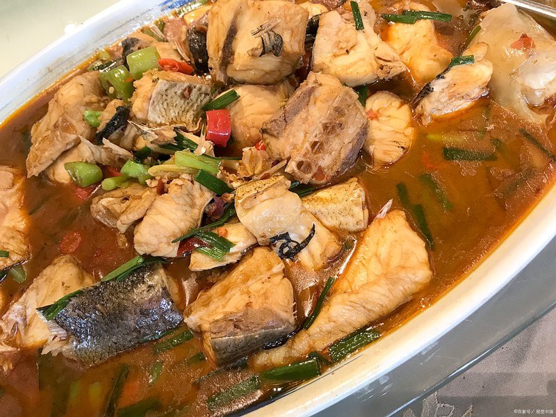托克托龍魚店，托克托龍魚店專注于觀賞魚養殖與銷售與銷售的特色店鋪
