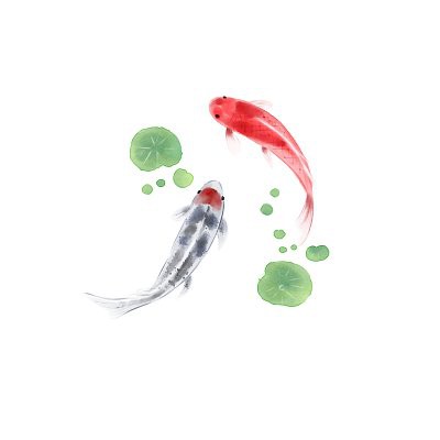 有哪些適合紅龍魚微信頭像的背景？，紅龍魚微信頭像背景推薦