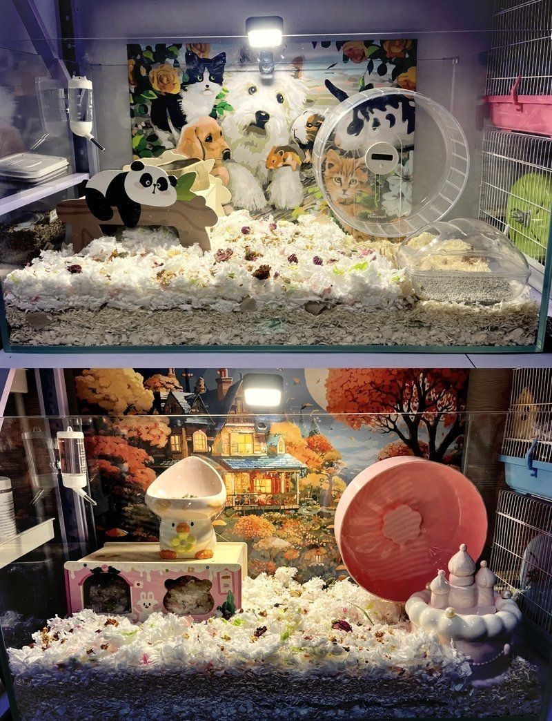 鞍山魚缸定做，鞍山市經(jīng)濟(jì)開發(fā)區(qū)新東利魚缸店(個體工商戶)