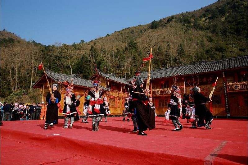 惠水水族店，惠水縣有哪些知名的水族店 惠水水族店，惠水縣有哪些知名的水族店 全國(guó)水族館企業(yè)名錄 第1張