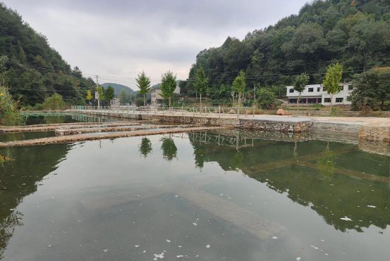 惠水水族店，惠水縣有哪些知名的水族店 惠水水族店，惠水縣有哪些知名的水族店 全國(guó)水族館企業(yè)名錄 第6張